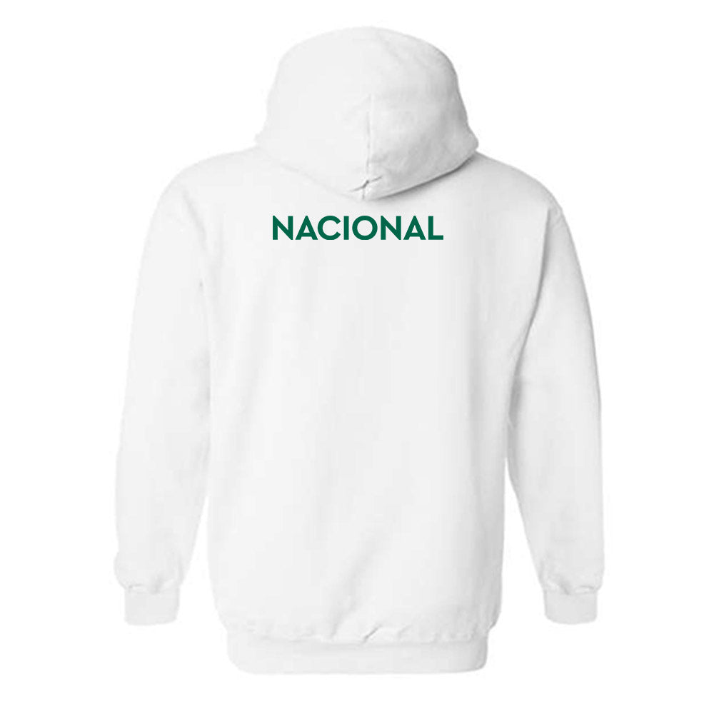 Illinois Wesleyan - NCAA Men's Swimming & Diving : Jacob Nacional - Classic Shersey Hooded Sweatshirt-1