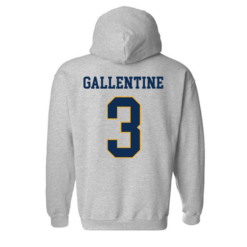 UTC - NCAA Women's Volleyball : Paige Gallentine - Classic Shersey Hooded Sweatshirt