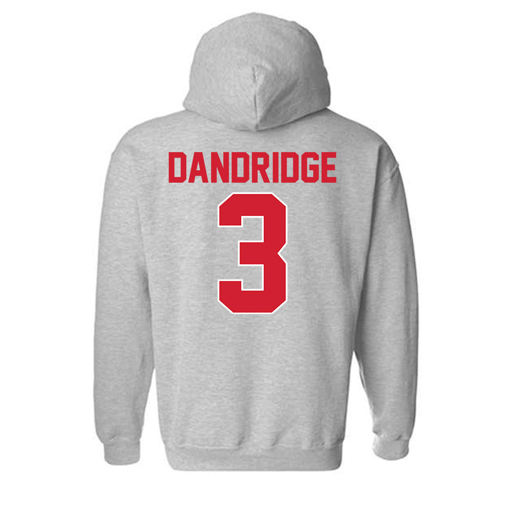 Youngstown State - NCAA Football : Richard Dandridge - Classic Shersey Hooded Sweatshirt-1