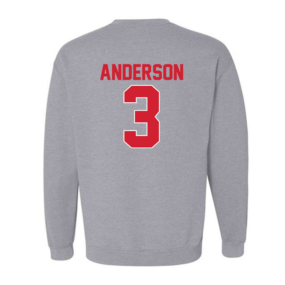 Youngstown State - NCAA Men's Basketball : Derrick Anderson - Classic Shersey Crewneck Sweatshirt-1