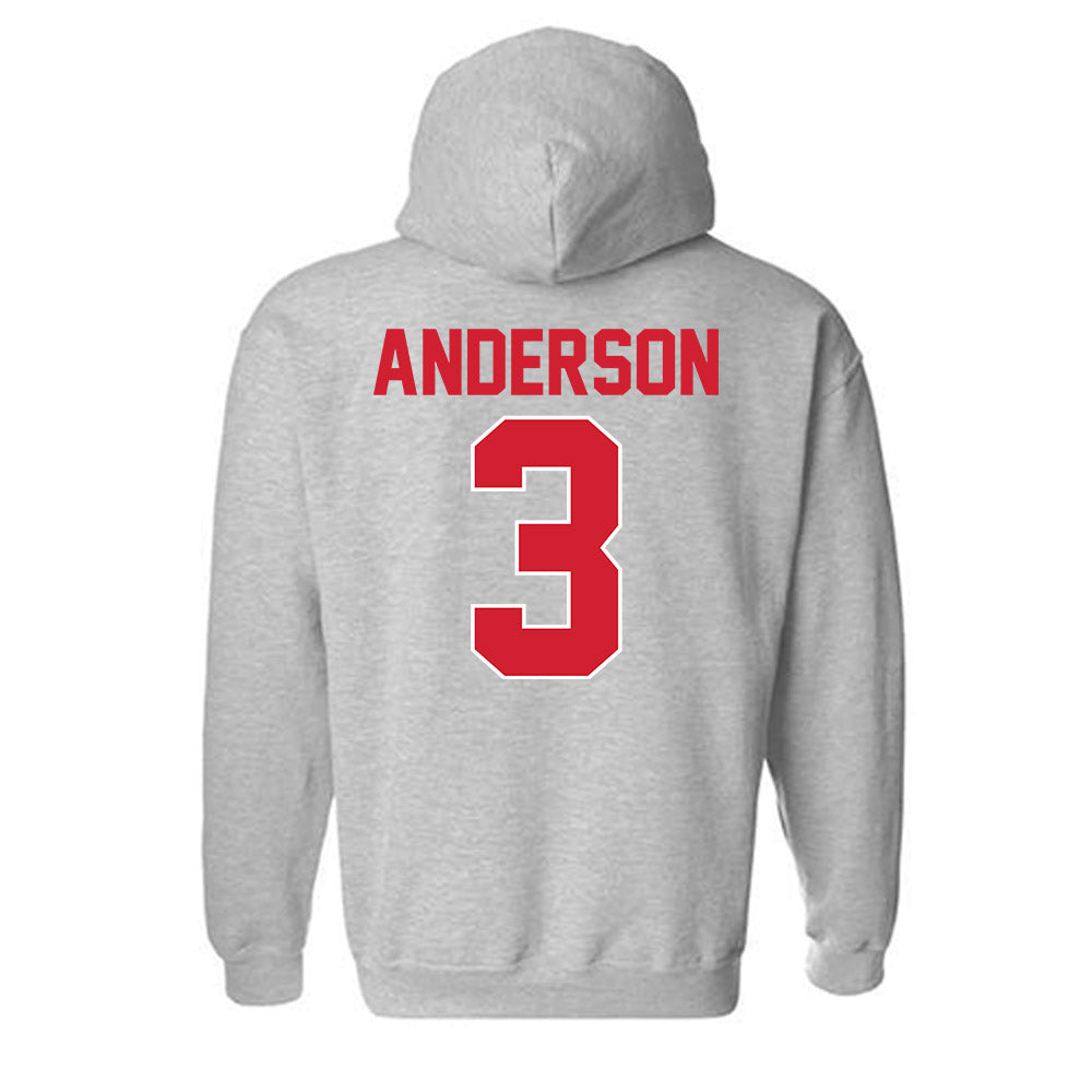 Youngstown State - NCAA Men's Basketball : Derrick Anderson - Classic Shersey Hooded Sweatshirt-1