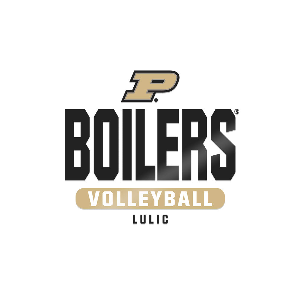 Purdue - NCAA Women's Volleyball : Bianka Lulic - Sticker-0