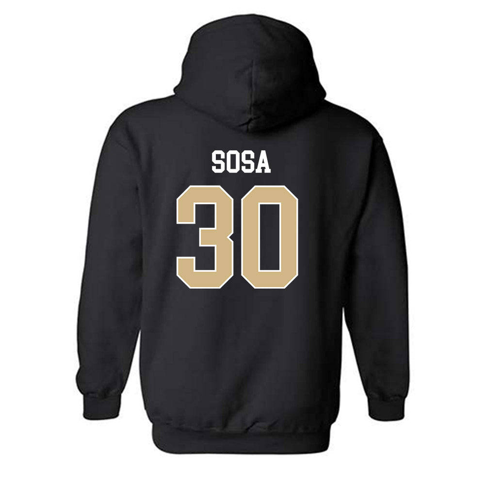Purdue - NCAA Softball : Gabriela Sosa - Classic Shersey Hooded Sweatshirt-1