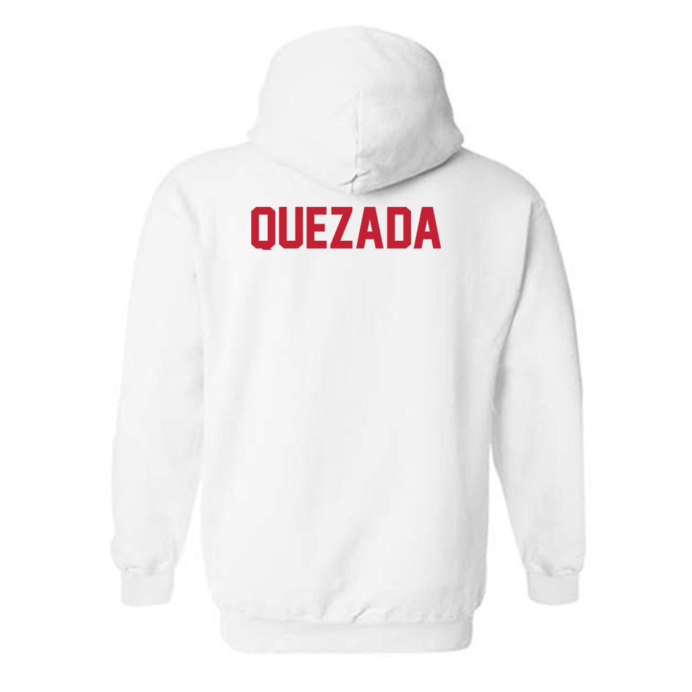 New Mexico - NCAA Women's Track & Field : Kiara Quezada - Classic Shersey Hooded Sweatshirt-1