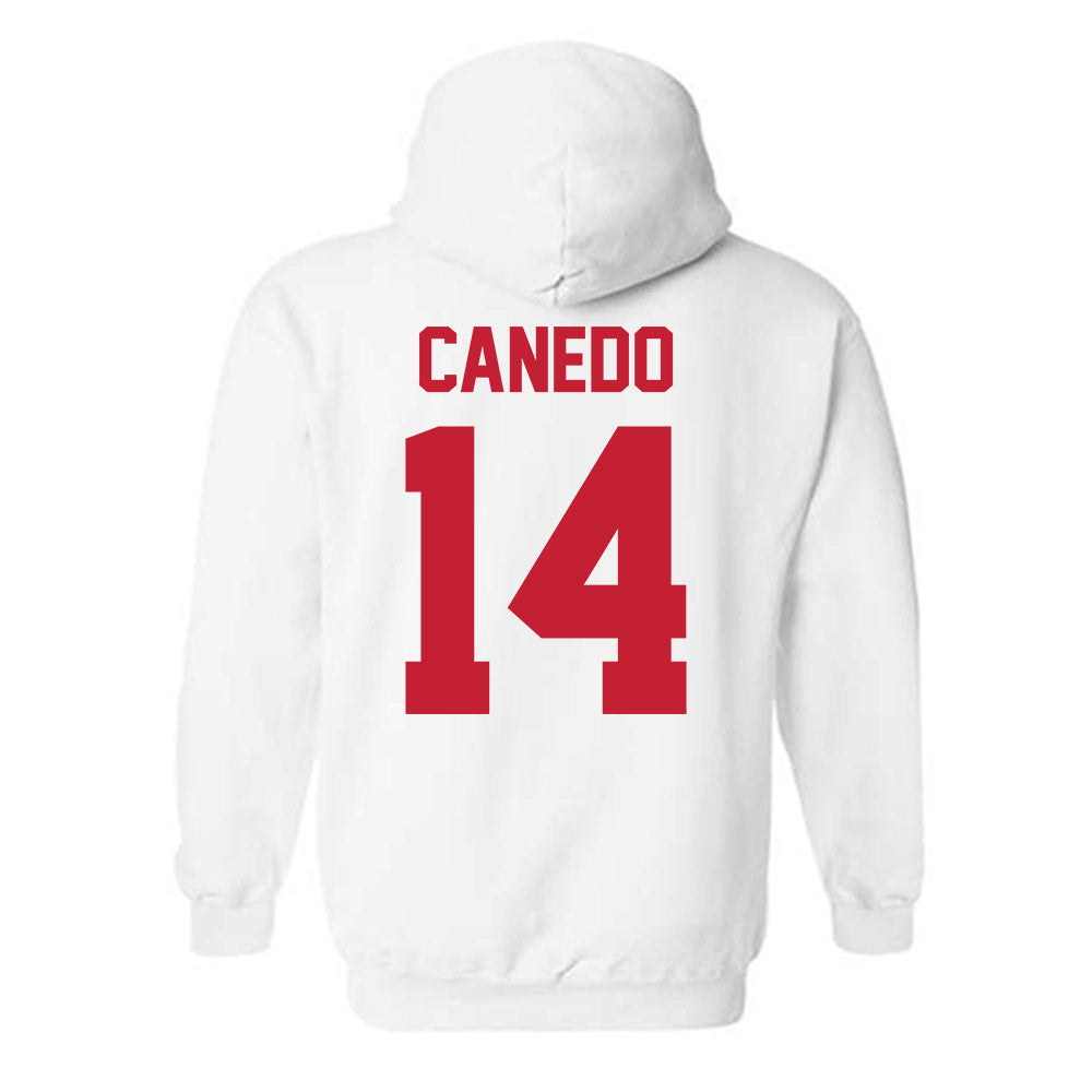 New Mexico - NCAA Women's Volleyball : Camila Canedo - Classic Shersey Hooded Sweatshirt-1