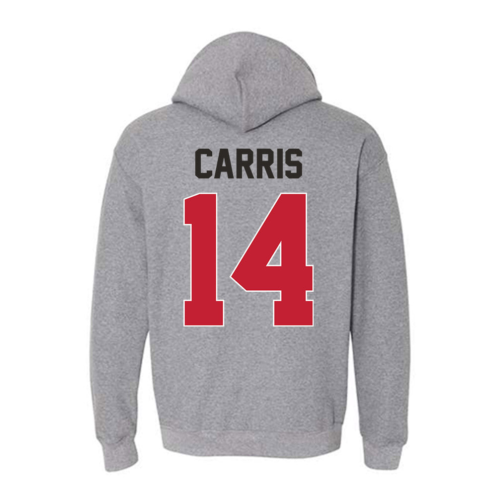 New Mexico - NCAA Baseball : Akili Carris - Classic Shersey Hooded Sweatshirt-1