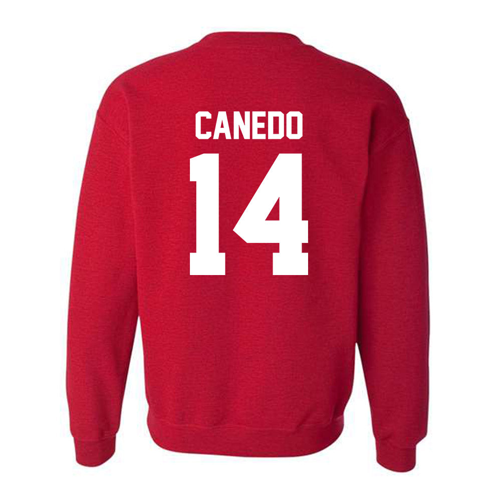 New Mexico - NCAA Women's Volleyball : Camila Canedo - Classic Fashion Shersey Crewneck Sweatshirt-1