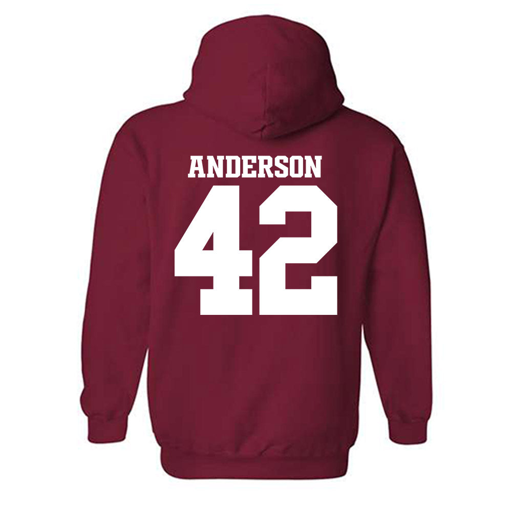 Arkansas - NCAA Baseball : Michael Anderson - Classic Shersey Hooded Sweatshirt-1