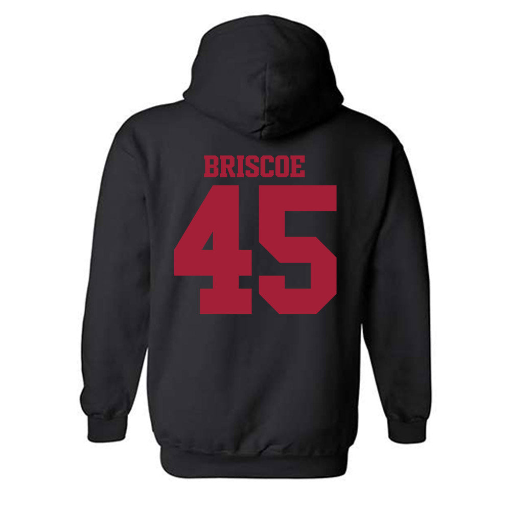 Arkansas - NCAA Baseball : Tye Briscoe - Classic Shersey Hooded Sweatshirt-1