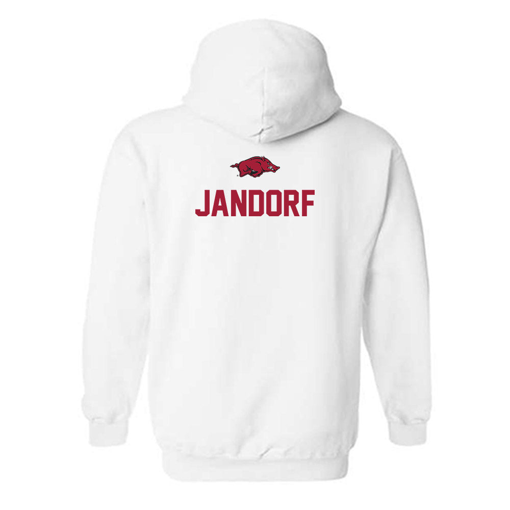 Arkansas - NCAA Women's Gymnastics : Riley Jandorf - Classic Shersey Hooded Sweatshirt-1