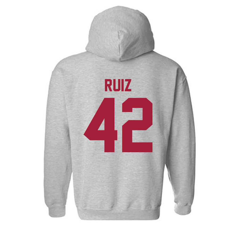 Arkansas - NCAA Baseball : Damian Ruiz - Hooded Sweatshirt-1