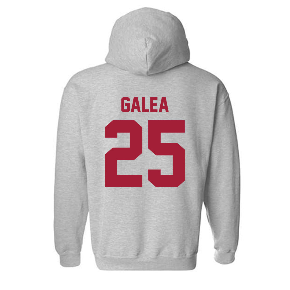 Arkansas - NCAA Women's Basketball : Danika Galea - Hooded Sweatshirt-1