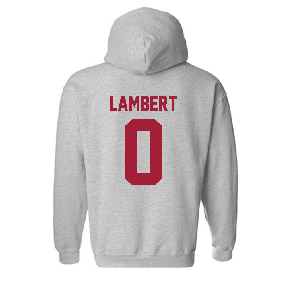 Arkansas - NCAA Women's Volleyball : Lolo Lambert - Hooded Sweatshirt-1