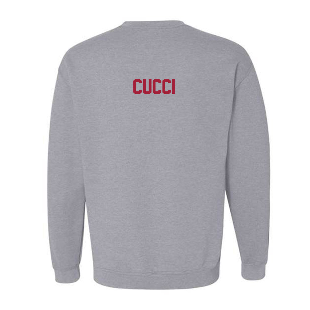 Arkansas - NCAA Women's Gymnastics : Allison Cucci - Crewneck Sweatshirt-1