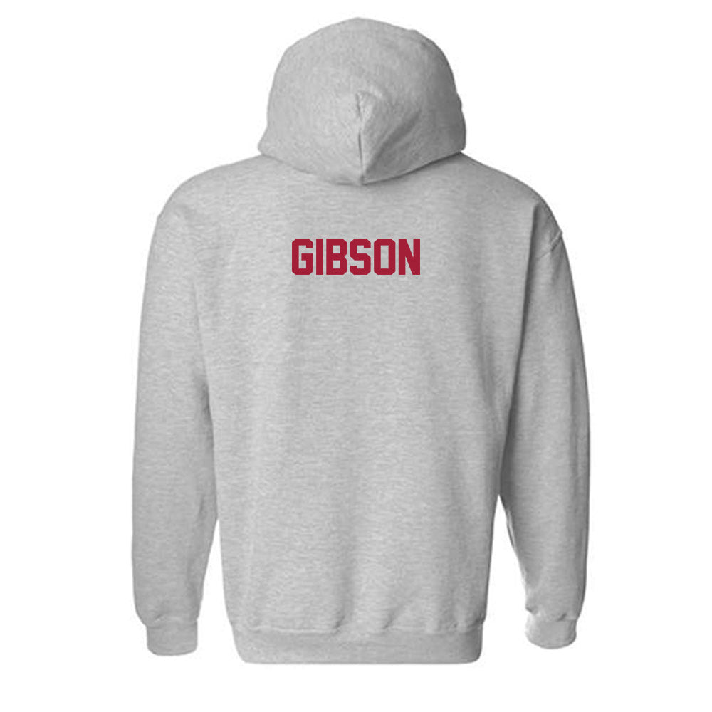 Arkansas - NCAA Women's Track & Field : Jayda Gibson - Hooded Sweatshirt-1