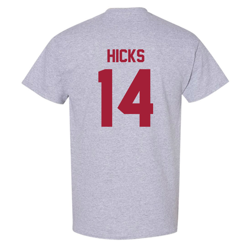 Arkansas - NCAA Women's Volleyball : Rosana Hicks - T-Shirt-1