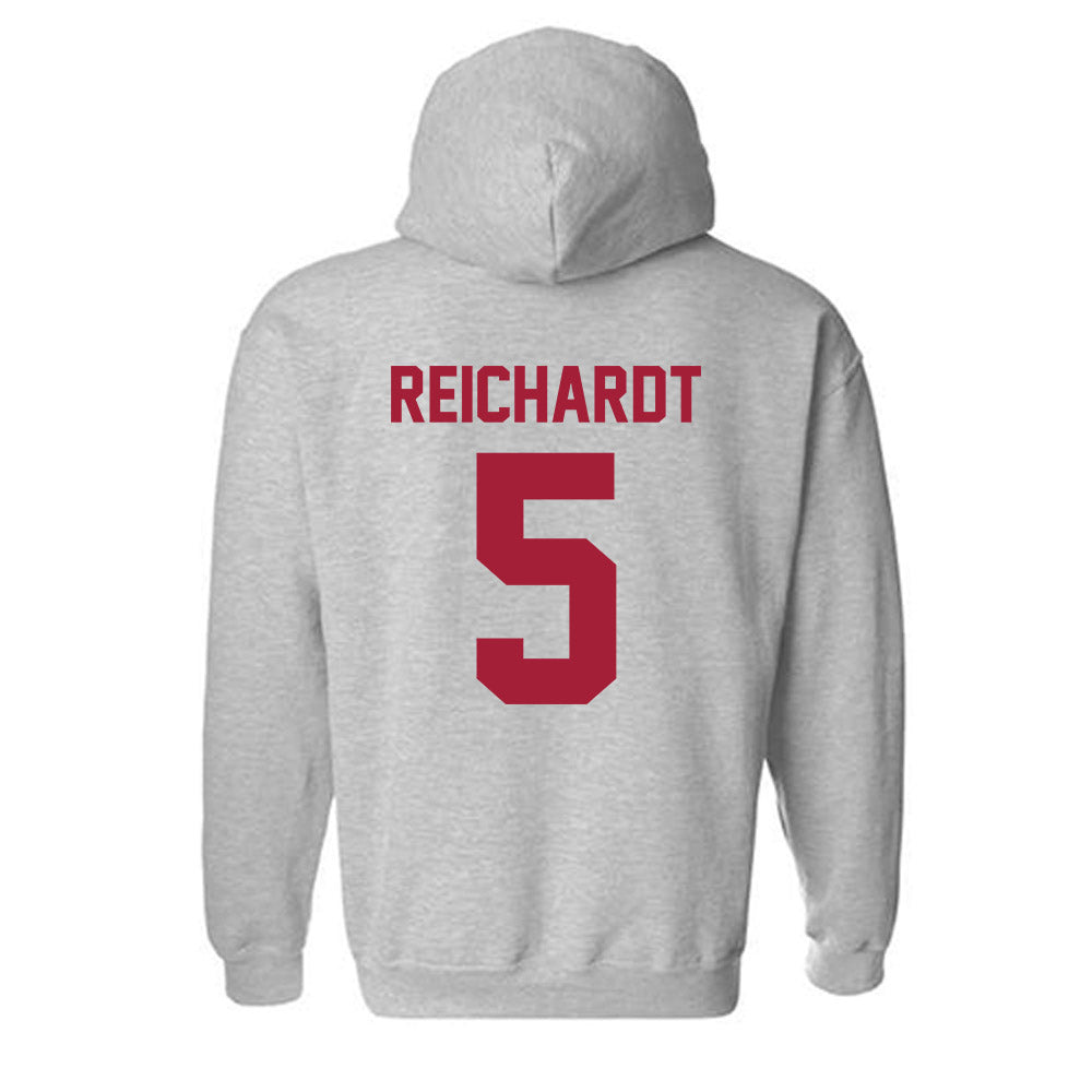Arkansas - NCAA Softball : Ashtyn Reichardt - Hooded Sweatshirt-1