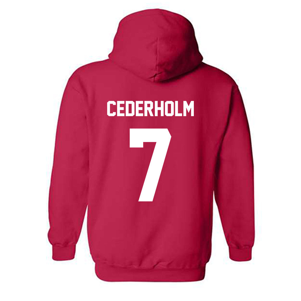 Arkansas State - NCAA Women's Soccer : Tindra Cederholm - Hooded Sweatshirt