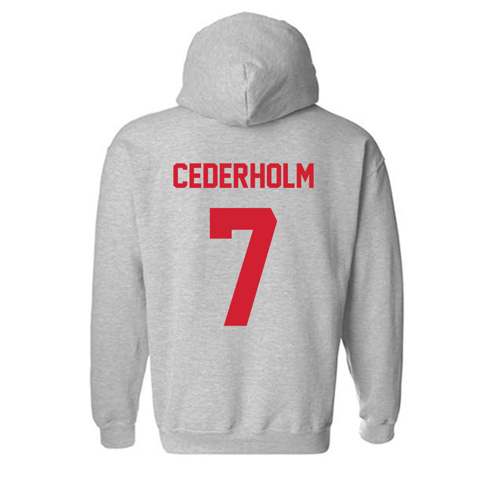 Arkansas State - NCAA Women's Soccer : Tindra Cederholm - Hooded Sweatshirt