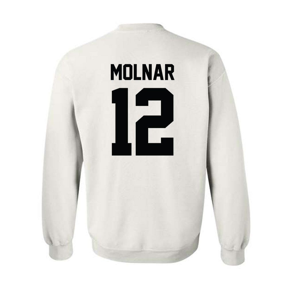 Furman - NCAA Men's Basketball : Davis Molnar - Crewneck Sweatshirt