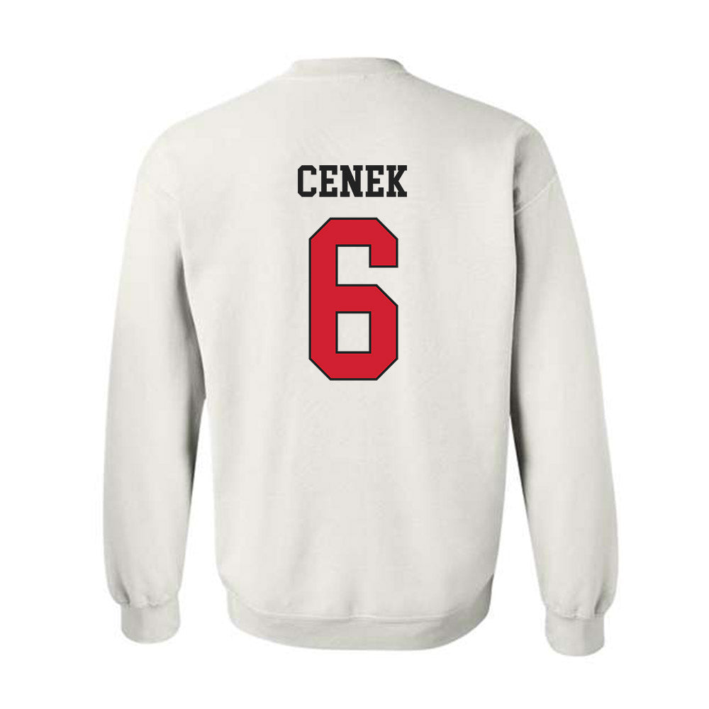 Illinois State - NCAA Women's Soccer : Sammi Cenek - Crewneck Sweatshirt