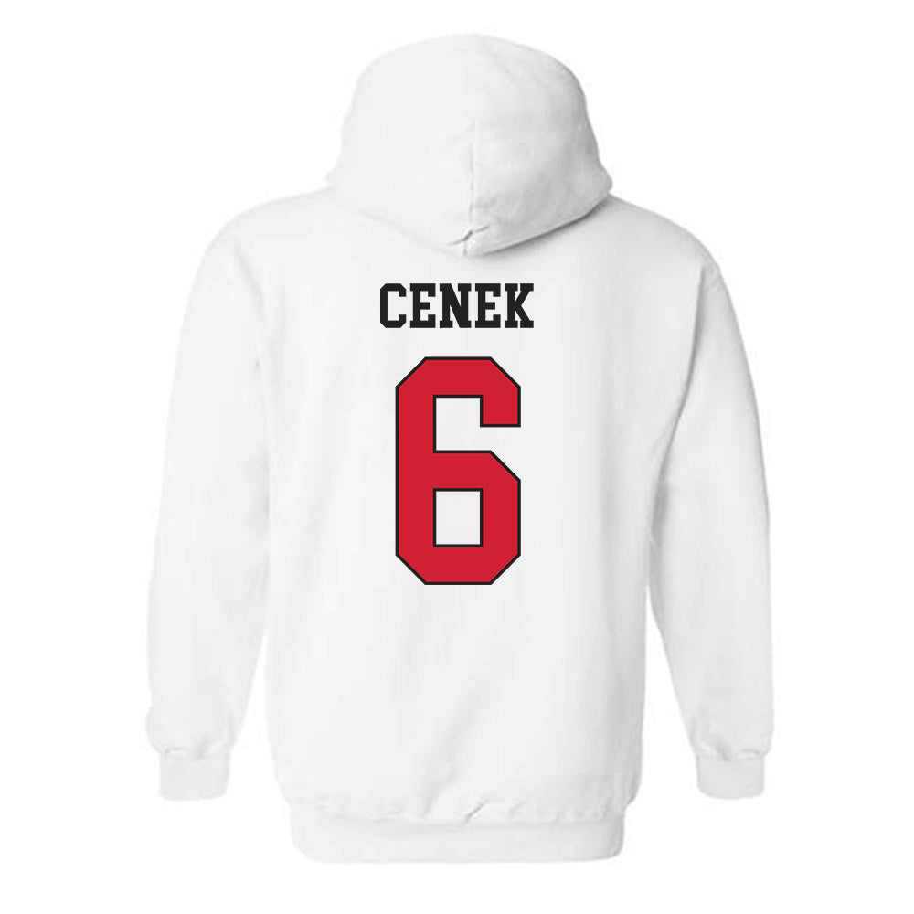 Illinois State - NCAA Women's Soccer : Sammi Cenek - Hooded Sweatshirt