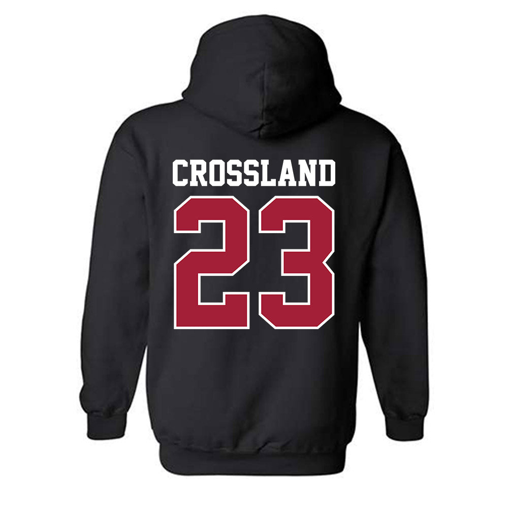 Oklahoma - NCAA Baseball : Cade Crossland - Fashion Shersey Hooded Sweatshirt-1