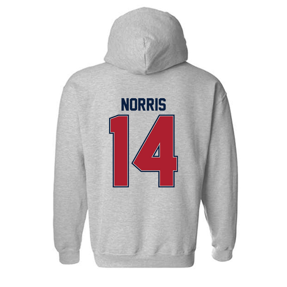 Liberty - NCAA Softball : Aubry Norris - Classic Shersey Hooded Sweatshirt-1