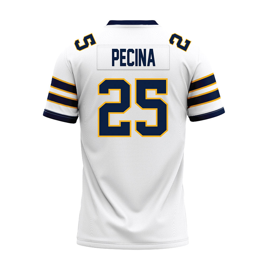AU - NCAA Football : Jake Pecina - Premium Football Jersey