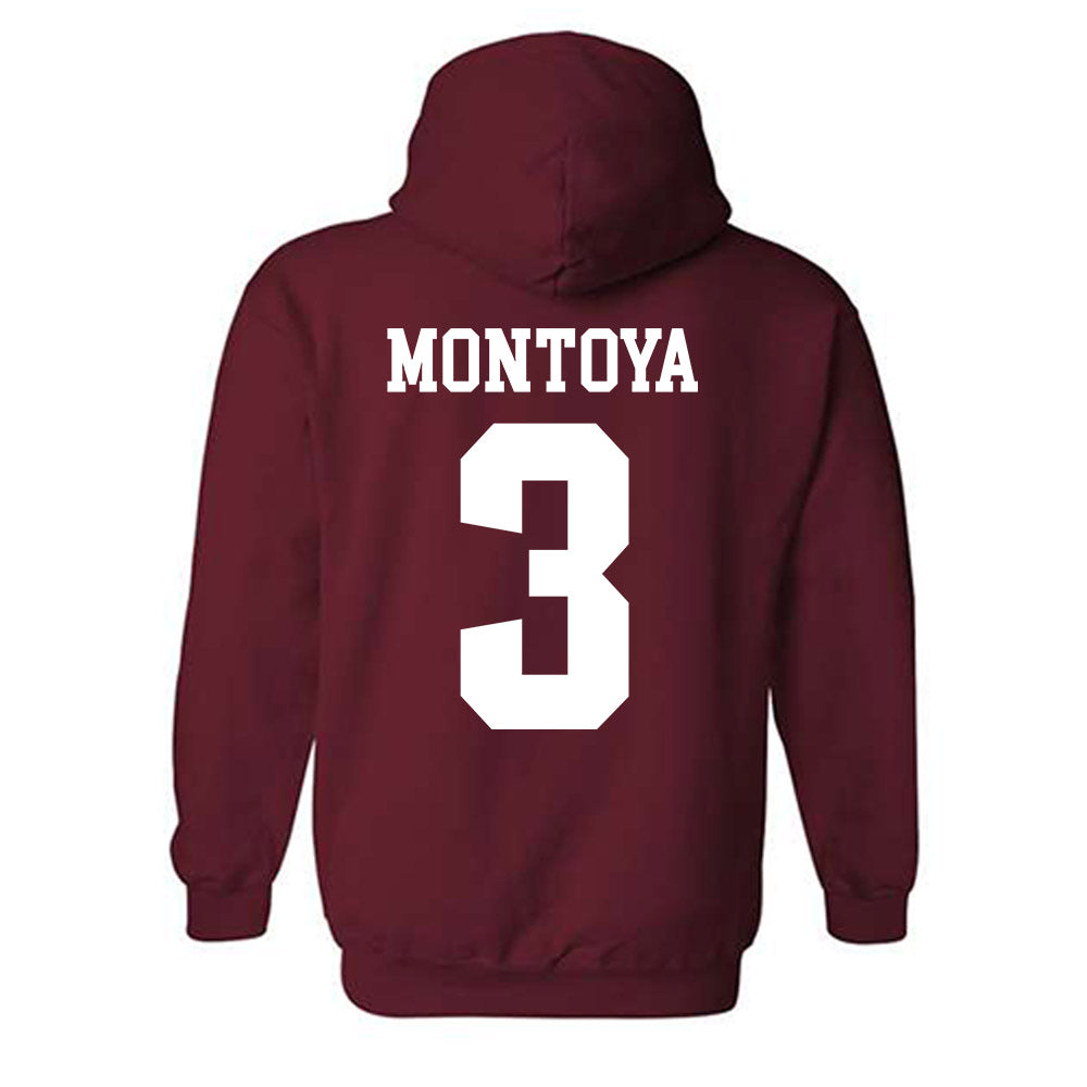 Stanford - NCAA Women's Soccer : Allie Montoya - Classic Shersey Hooded Sweatshirt-1