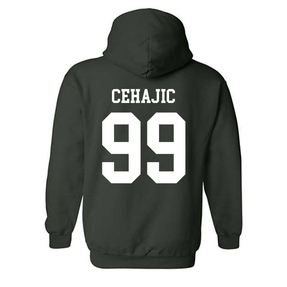 Tulane - NCAA Baseball : Trey Cehajic - Hooded Sweatshirt