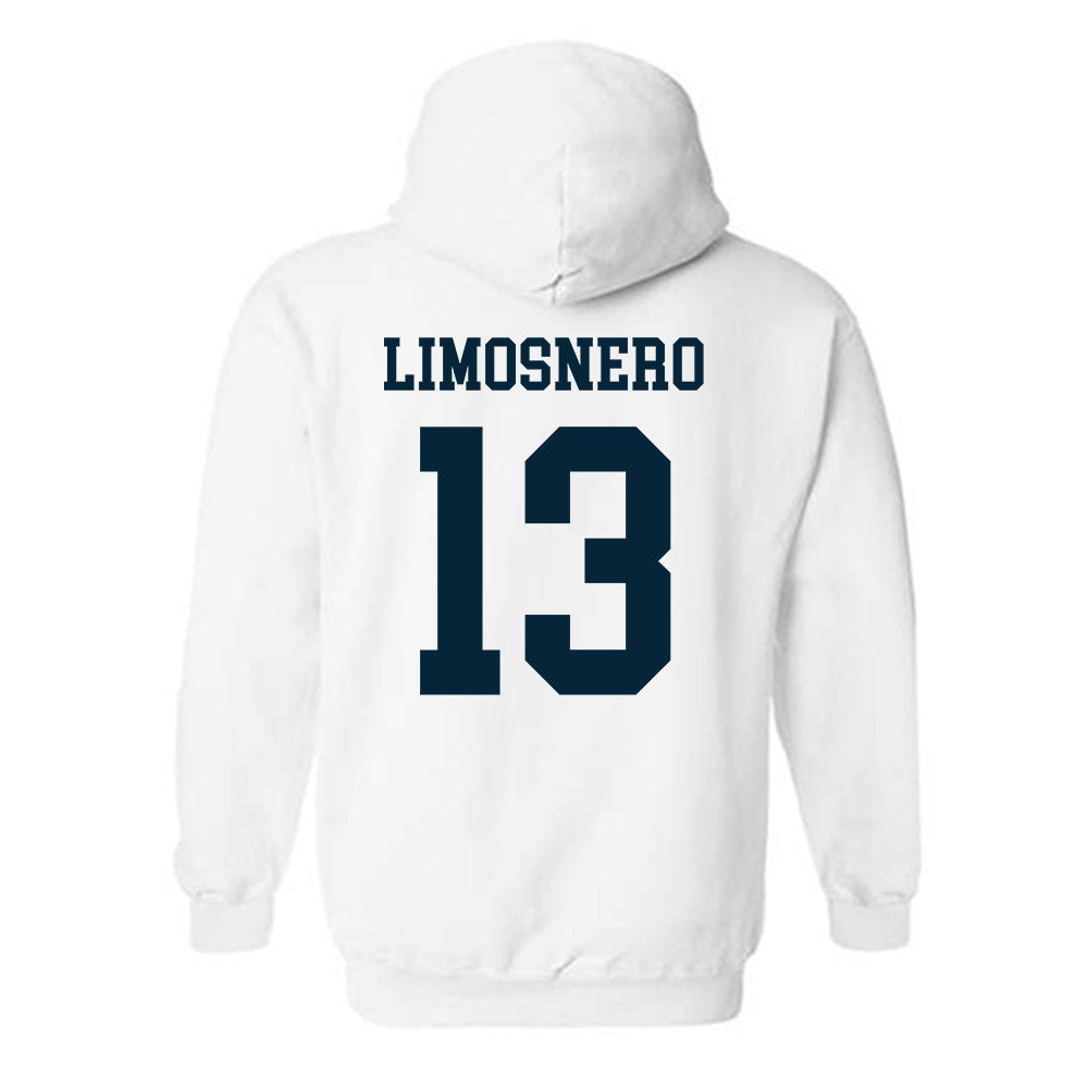 Utah State - NCAA Softball : Carly Limosnero - Classic Shersey Hooded Sweatshirt-1