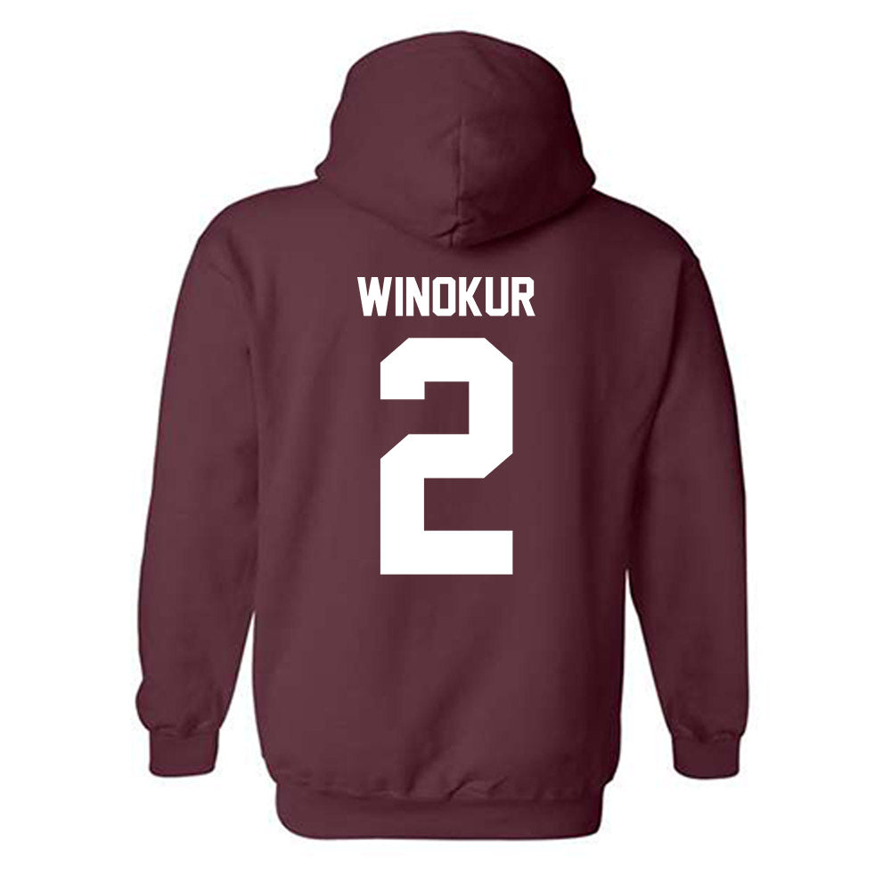 Loyola - NCAA Men's Volleyball : Benjamin Winokur - Classic Shersey Hooded Sweatshirt