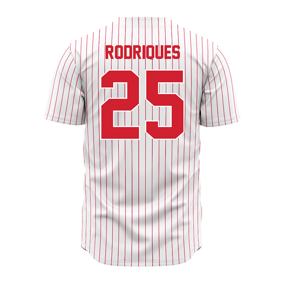 Youngstown State - NCAA Baseball : Michael Rodriques - Pinstripe Jersey-1