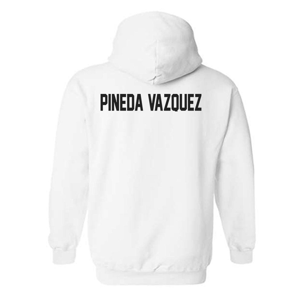 Ohio State - NCAA Women's Swimming & Diving : Paola Pineda Vazquez - Classic Shersey Hooded Sweatshirt