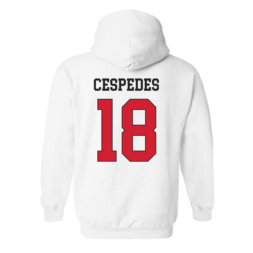 Maryland - NCAA Baseball : Cristofer Cespedes - Classic Shersey Hooded Sweatshirt-1