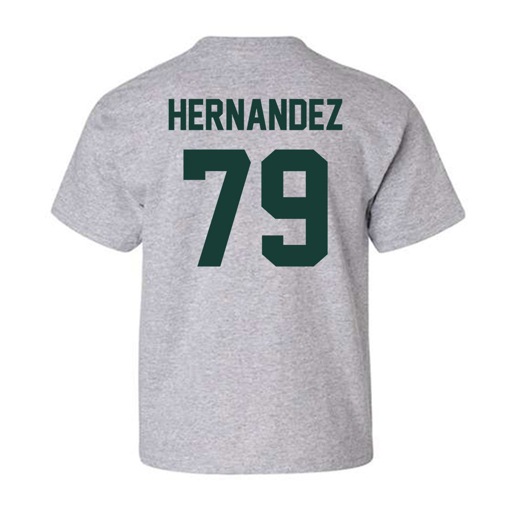 Lake Erie College - NCAA Men's Soccer : Fernando Hernandez - Youth T-Shirt-1