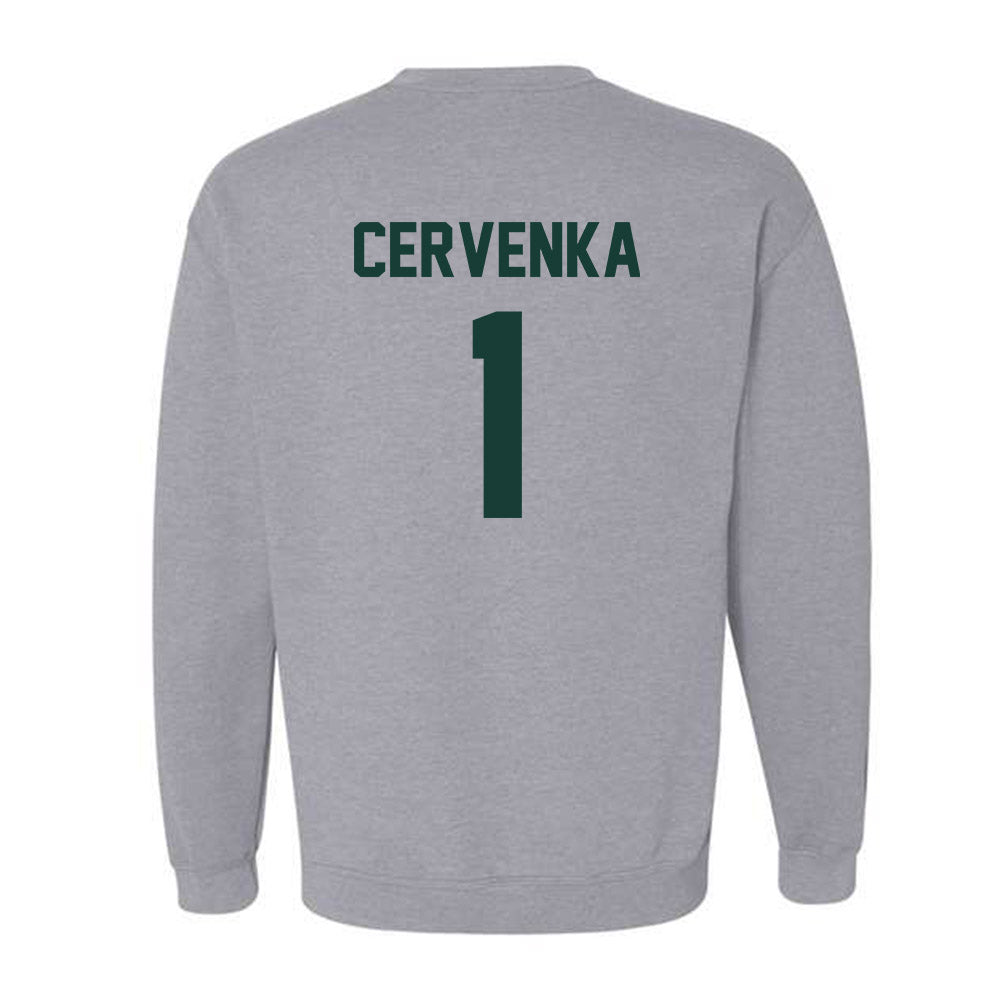 Lake Erie College - NCAA Men's Basketball : Riley Cervenka - Crewneck Sweatshirt-1