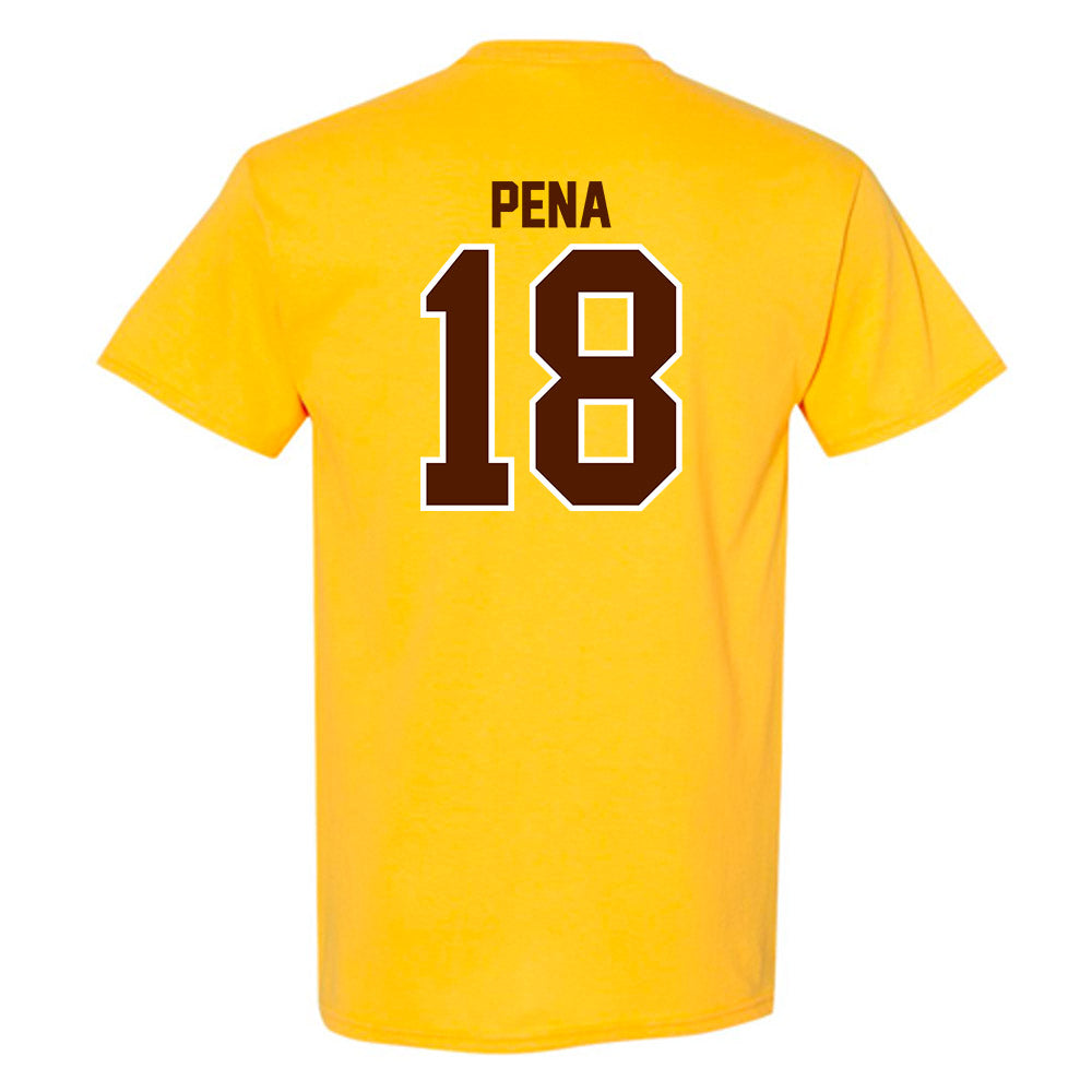 Western Michigan - NCAA Baseball : Diego Pena - Classic Shersey T-Shirt-1