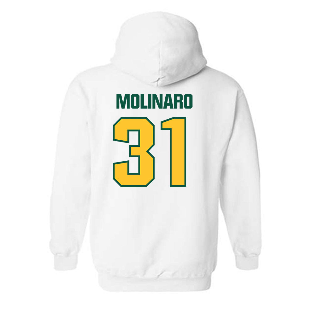 Northern Michigan - NCAA Men's Ice Hockey : Julian Molinaro - Classic Shersey Hooded Sweatshirt