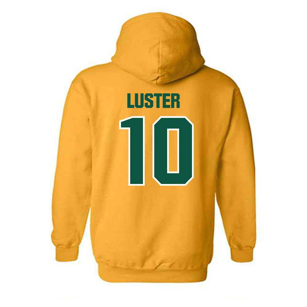 Northern Michigan - NCAA Men's Basketball : Biggie Luster - Classic Shersey Hooded Sweatshirt