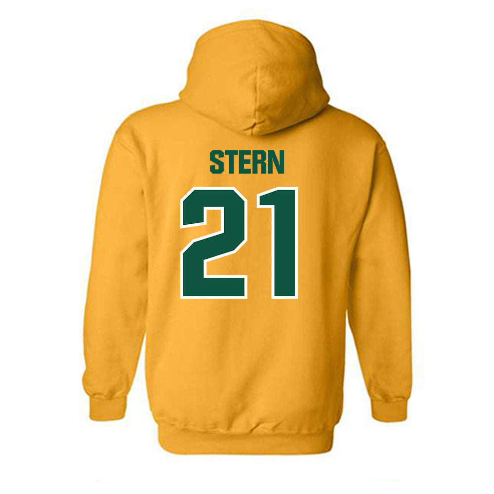 Northern Michigan - NCAA Men's Ice Hockey : Tyler Stern - Classic Shersey Hooded Sweatshirt-1