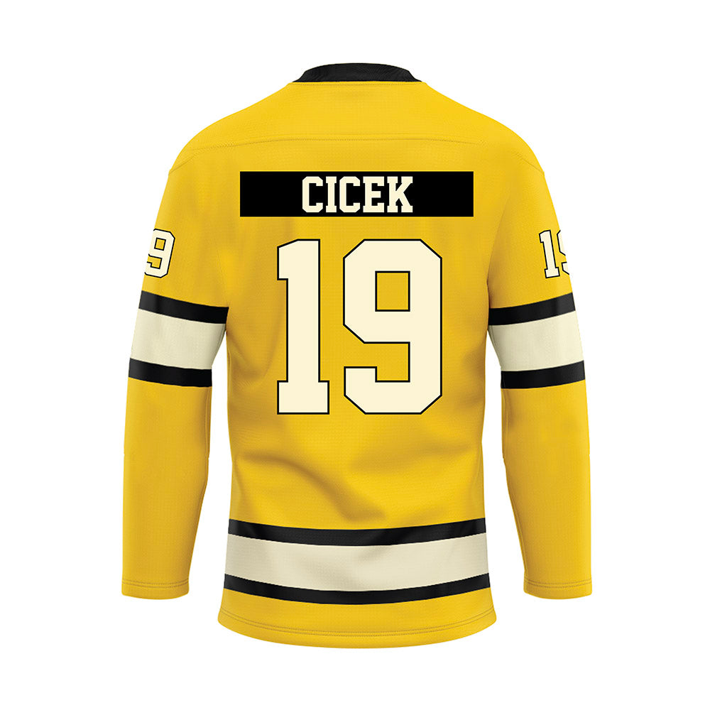 Michigan Tech - NCAA Men's Ice Hockey : Michael Cicek - Hockey Jersey-1