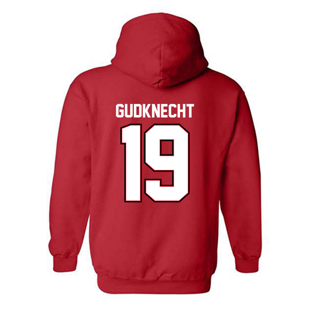 UW River Falls - NCAA Women's Volleyball : Hannah Gudknecht - Classic Shersey Hooded Sweatshirt-1