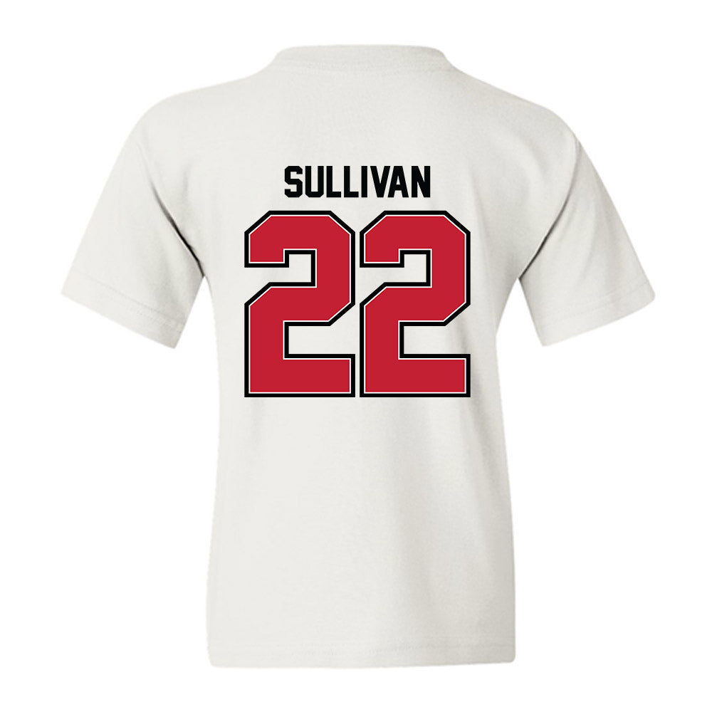 UW River Falls - NCAA Baseball : Brett Sullivan - Classic Shersey Youth T-Shirt-1