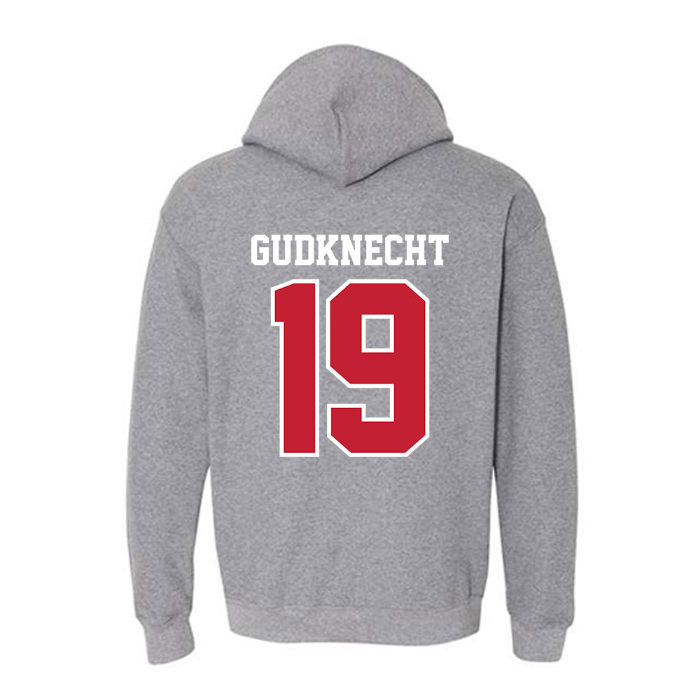 UW River Falls - NCAA Women's Volleyball : Hannah Gudknecht - Classic Shersey Hooded Sweatshirt-1