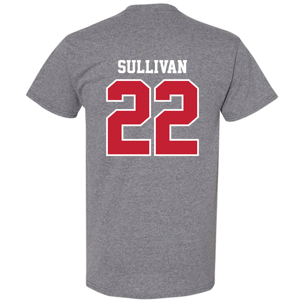 UW River Falls - NCAA Baseball : Brett Sullivan - Classic Shersey T-Shirt-1