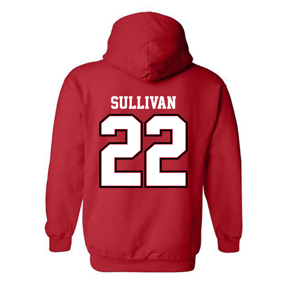 UW River Falls - NCAA Baseball : Brett Sullivan - Classic Shersey Hooded Sweatshirt-1