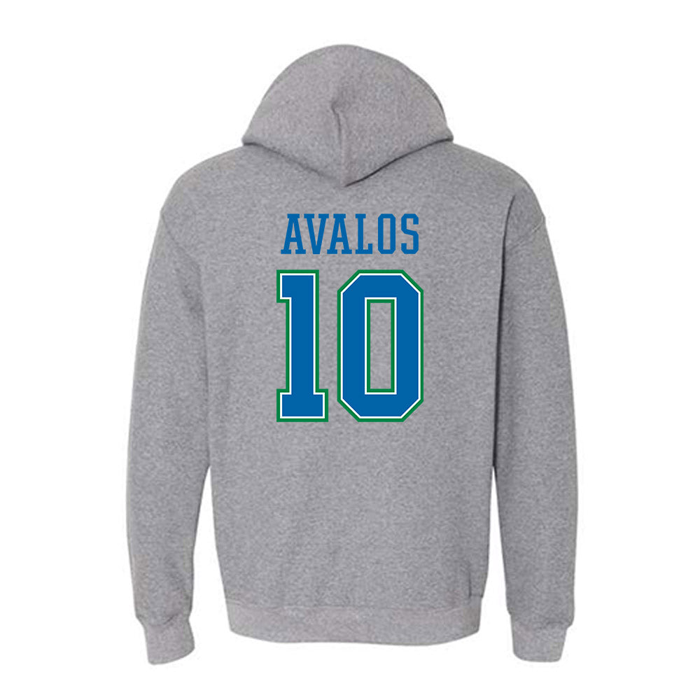 Texas A&M Corpus Christi - NCAA Softball : Rhea-Ann Avalos - Classic Shersey Hooded Sweatshirt-1