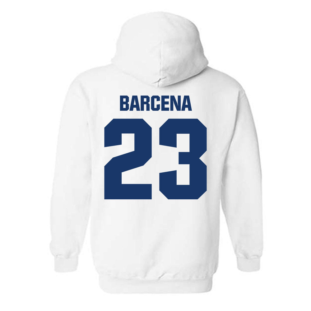 Francis Marion - NCAA Baseball : Daniel Barcena - Hooded Sweatshirt-1